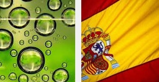 Spain Biofuel